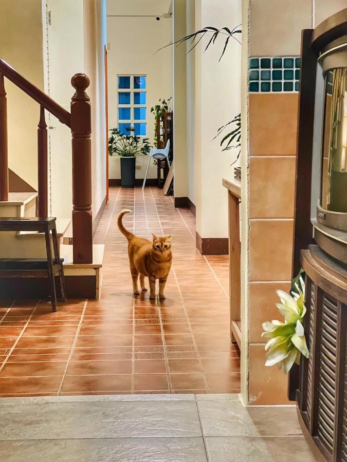 Bed and Breakfast 白砂灣藍海之丘blue Ocean Hill Heng-ch'un Esterno foto